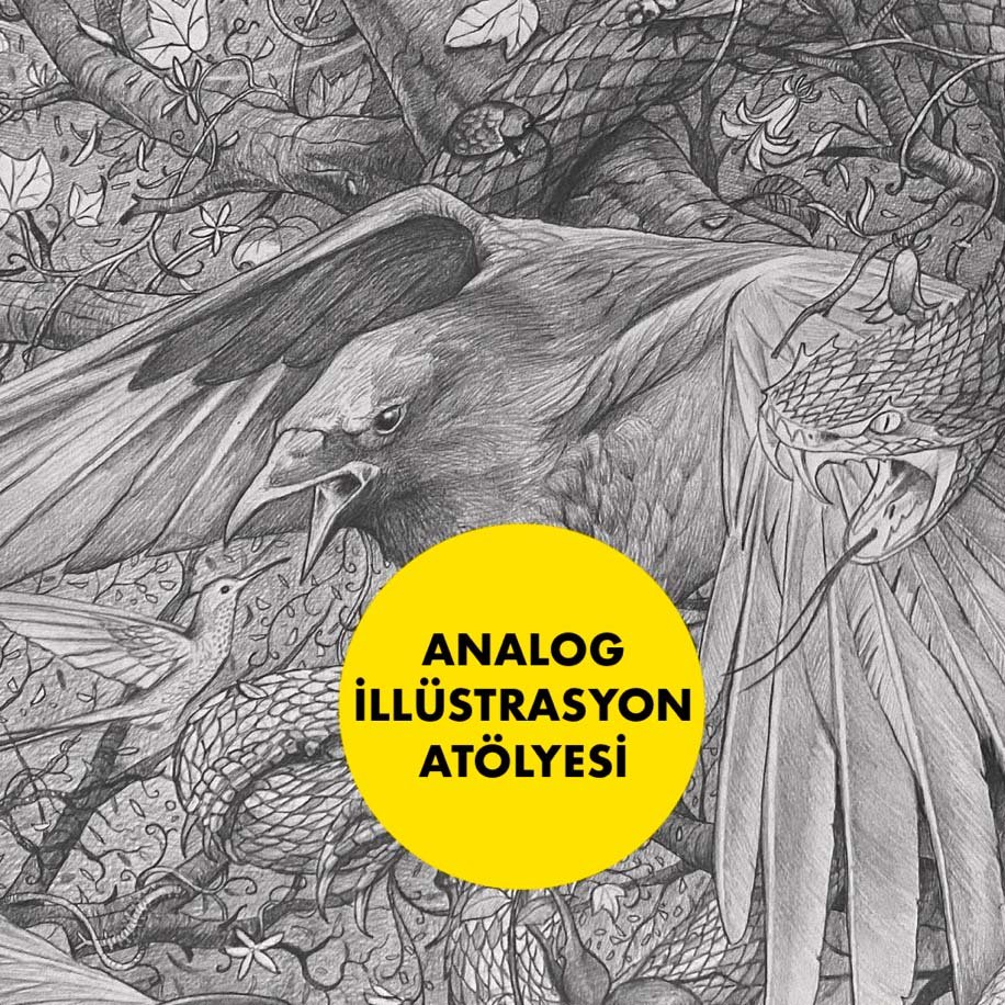 Analog İllüstrasyon Atölyesi